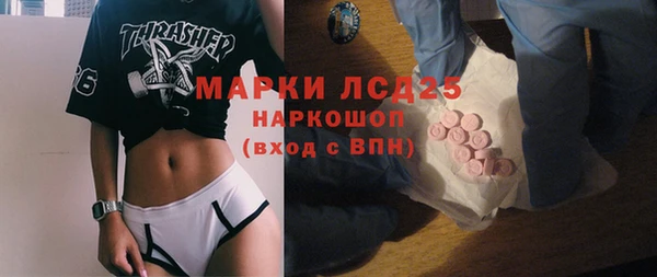 a pvp Инсар