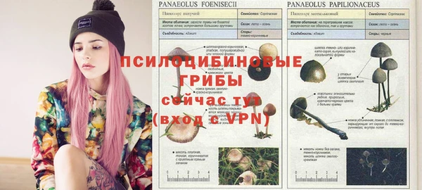 ALPHA PVP Иннополис