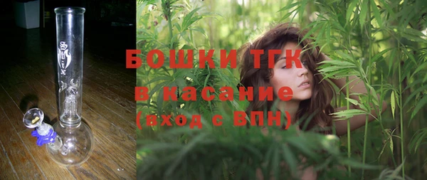 a pvp Инсар