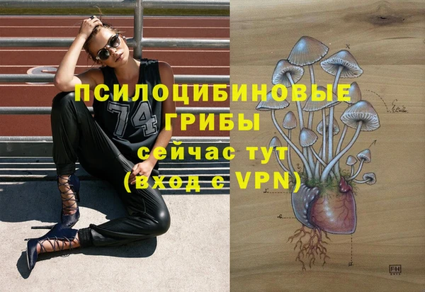 ALPHA PVP Иннополис