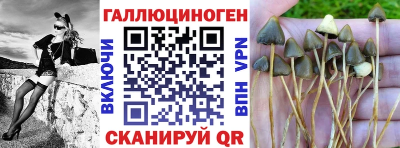 Галлюциногенные грибы GOLDEN TEACHER Жердевка