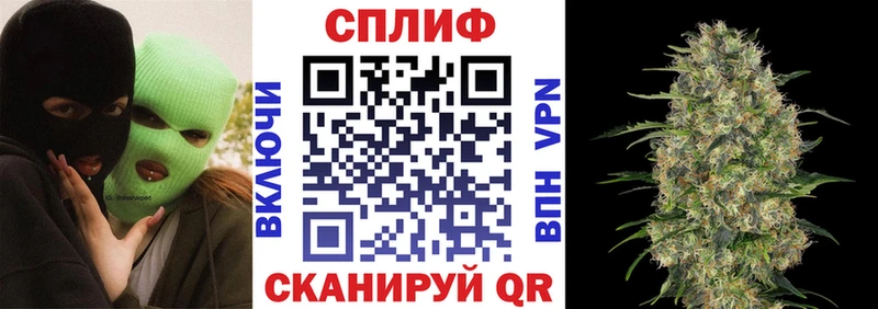 Бошки марихуана OG Kush  Купить где  Жердевка 